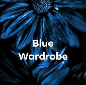 🌀Blue Wardrobe
